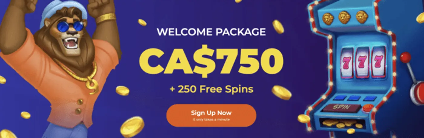 Bet7k neto